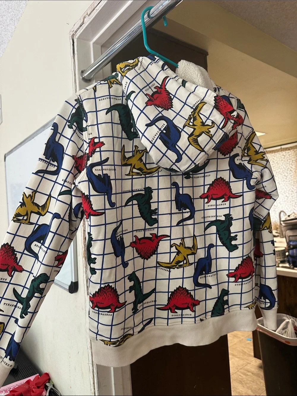 Hanna Andersson Dinosaur zip-up